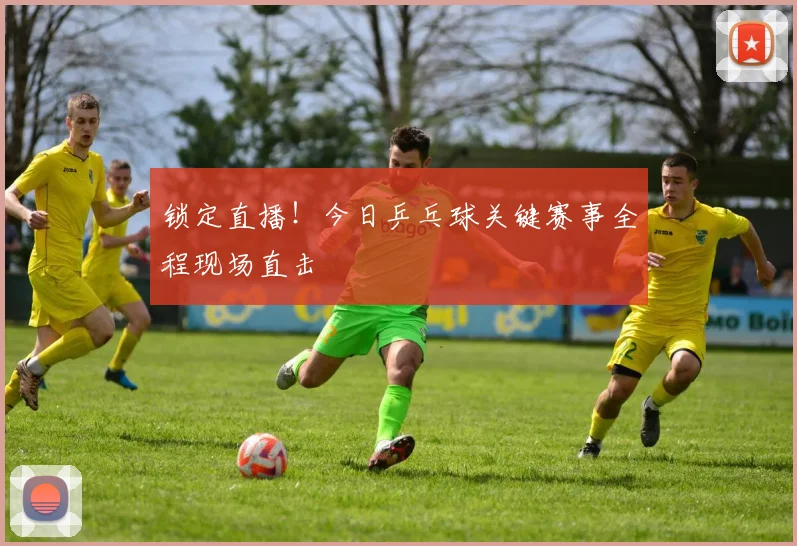 锁定直播！今日乒乓球关键赛事全程现场直击